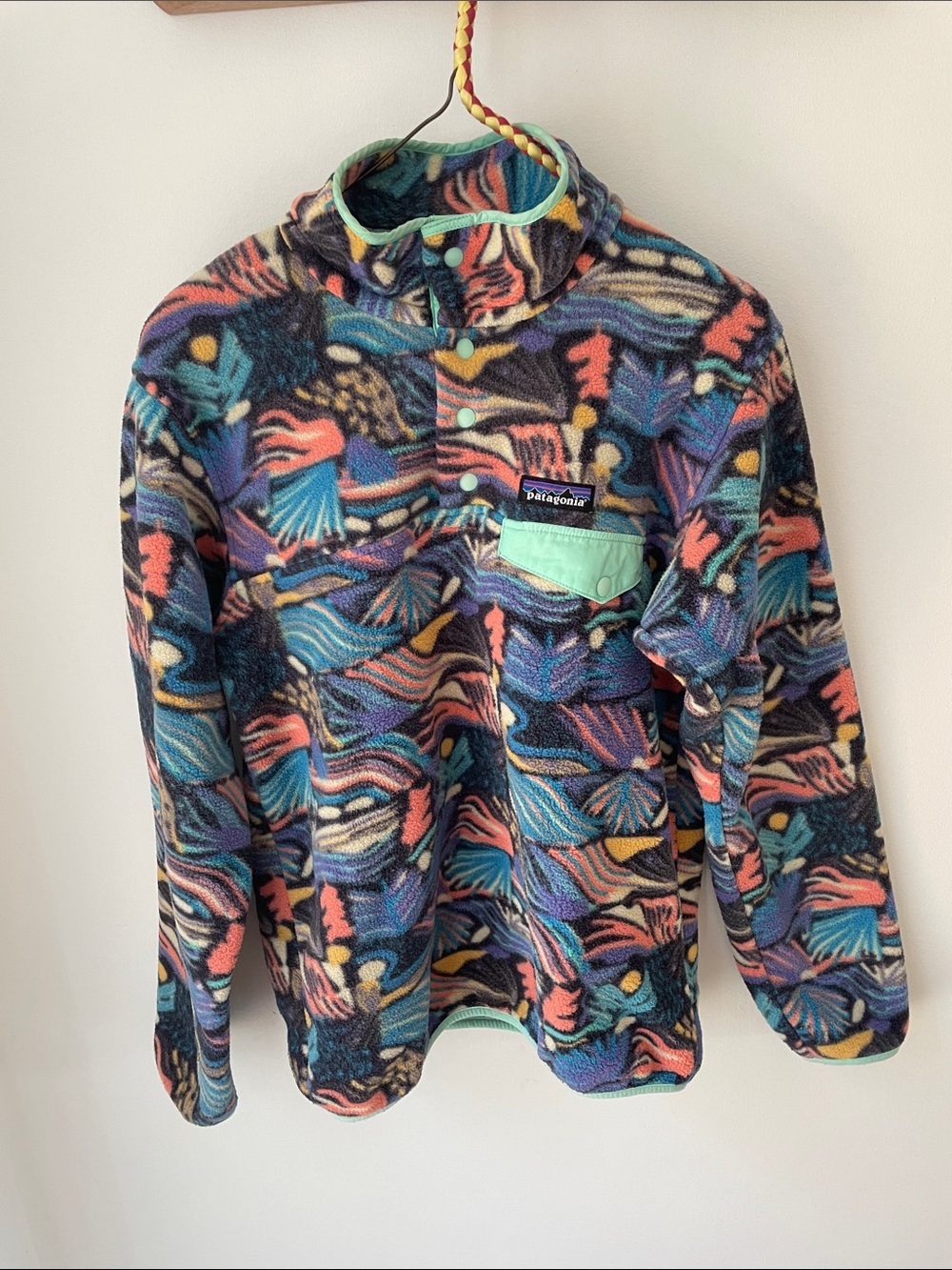 Patagonia Multicolor Synchilla Fleece